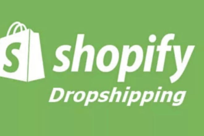 I will build a shopify store