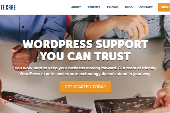 I will build an premium wordpress website