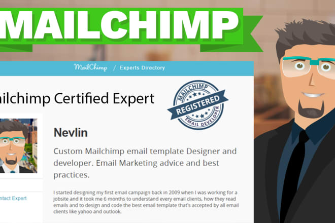 I will build mailchimp email campaign