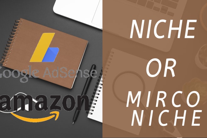 I will build niche or micro niche website for adsense or affiliate