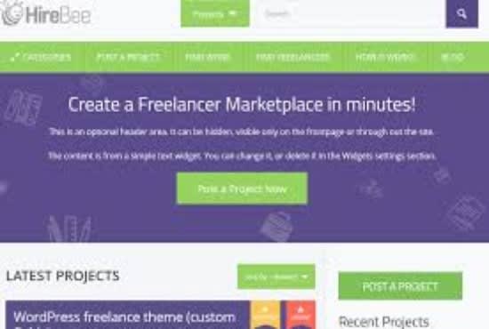 I will build professional freelance marketplace website like fiver
