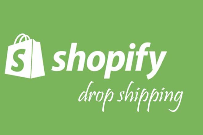 I will build professional shopify dropshipping store or shopify website