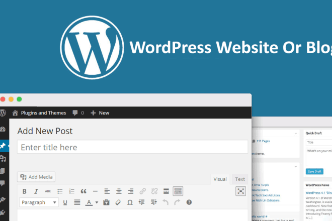 I will build professional wordpress website or blog