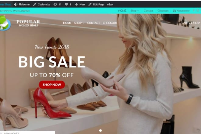 I will build profitable automatic ladies shoes dropshipping website