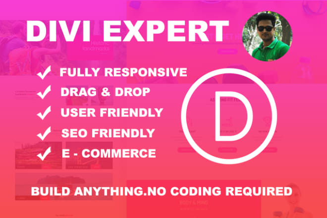 I will build wordpress responsive website with divi theme