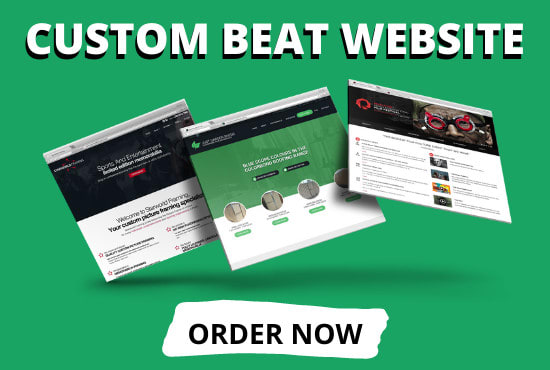 I will build your custom beat website with wordpress