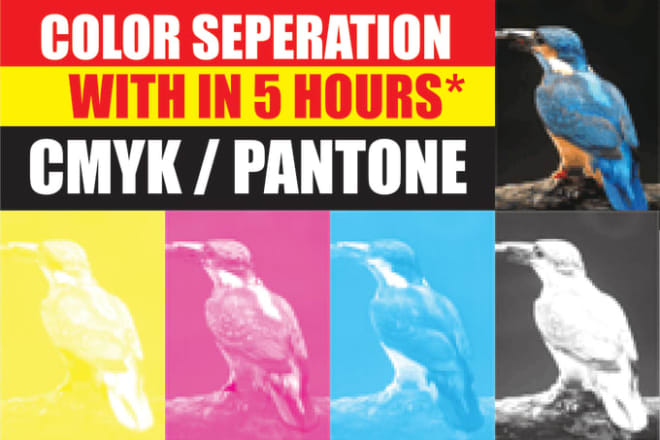 I will color separation for screen printing cmyk, pantone and simulation within 5 hours