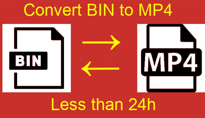 I will convert bin file into mp4 and mp4 to bin