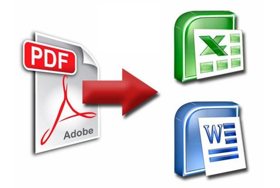 I will convert PDF to excel or csv