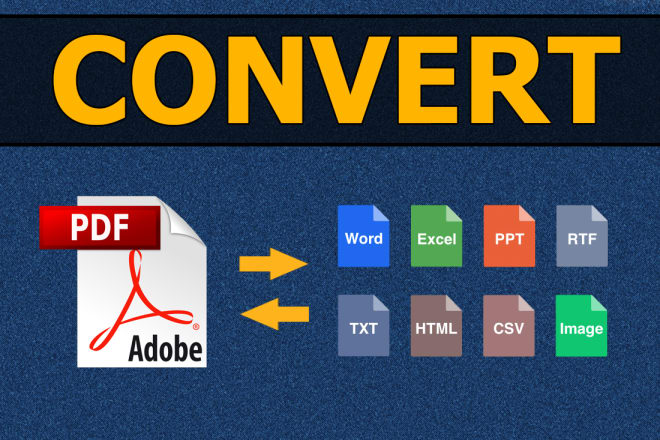 I will convert pdf to word, pdf to excel, scanned image or photo to text