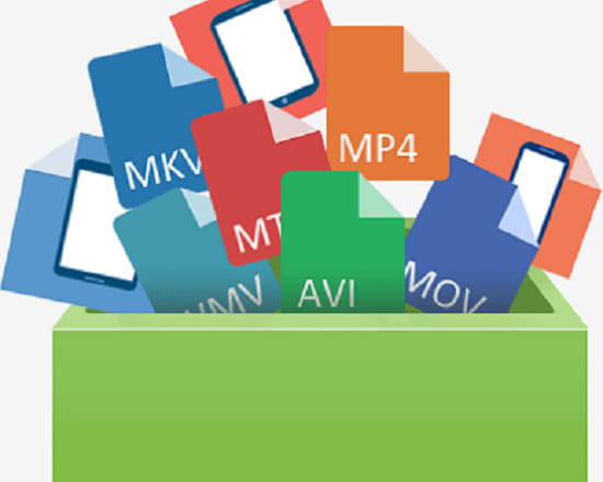 I will convert video to any file format avi mpeg mp4 wmv