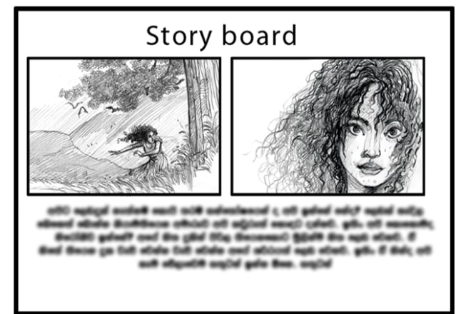 I will crater 2 panel storyboard