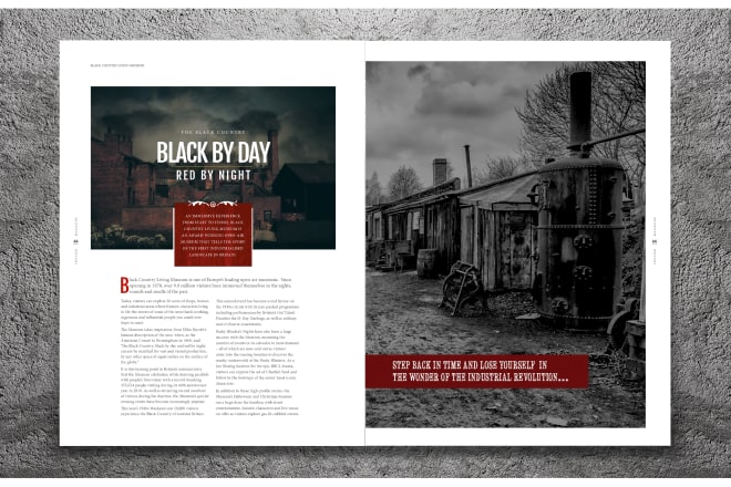 I will create a bespoke magazine layout template and style guide