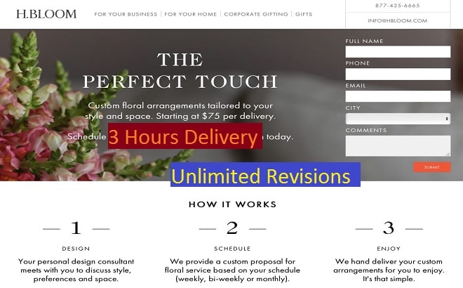 I will create a landing page or squeeze page in 3 hours