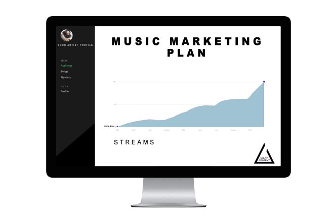 I will create a professional music marketing plan for your track
