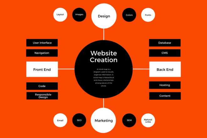 I will create a professional website for your business