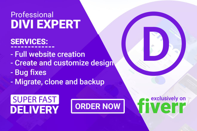 I will create a website using divi theme with divi builder in 1 day