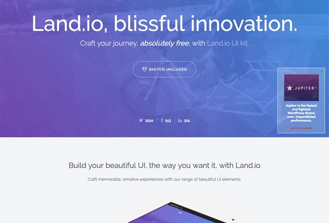 I will create innovative and customized landing page