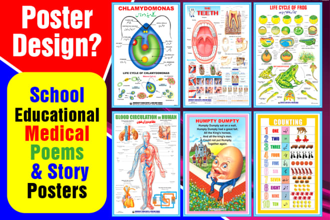 I will create school educational,medical poster,flyer, infographic design in 12h
