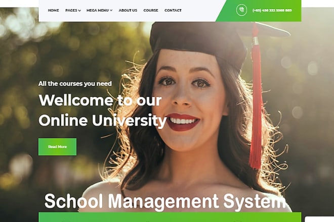 I will create school management system website