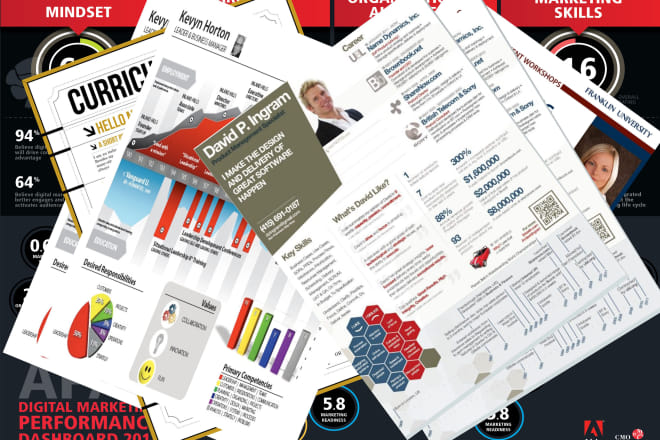 I will create the best CV using infographic style