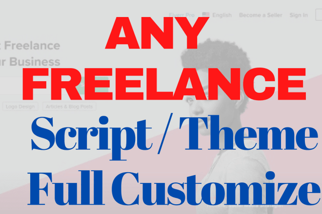 I will customize your freelance any theme or script