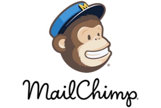 I will design a professional mailchimp template