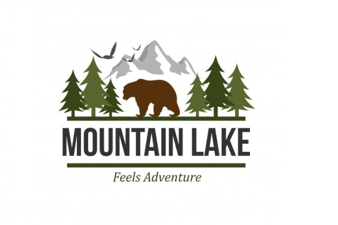 I will design a wonderful mountain logo for your company with unlimited revisions