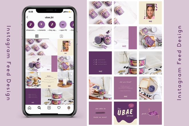 I will design and plan your instagram feed