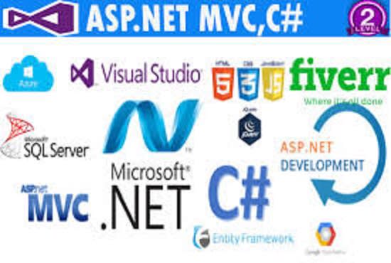 I will design web app using asp dot net mvc for small medium business