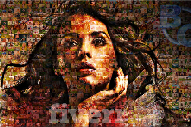 I will design your image into photo mosaic portrait as unique gift