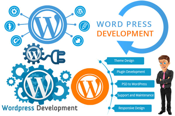I will develop psd to html and html to wordpress theme