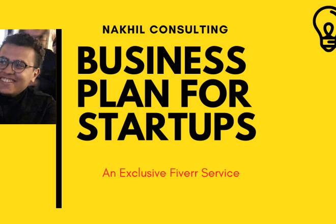 I will do a professional business plan for startups