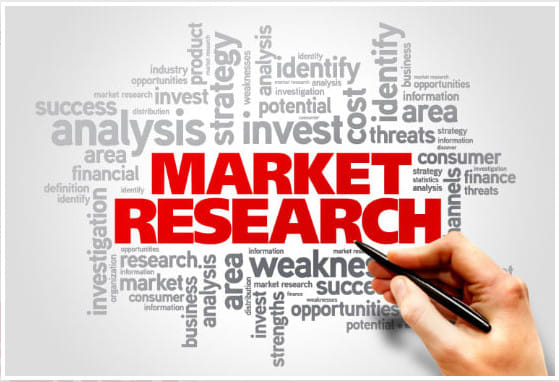 I will do a professional market research for your startup