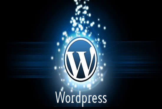 I will do a professional wordpress website