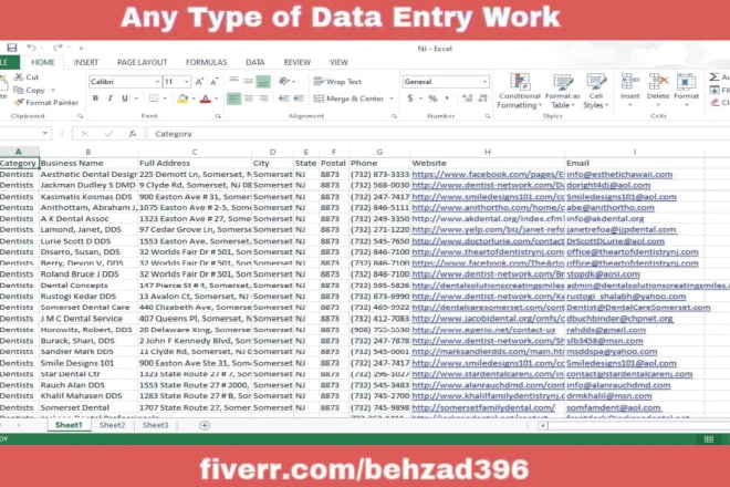 I will do any type of online or offline data entry work with full accuracy