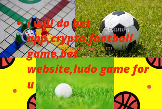 I will do bet app,crypto,football game,bet website,ludo game for u