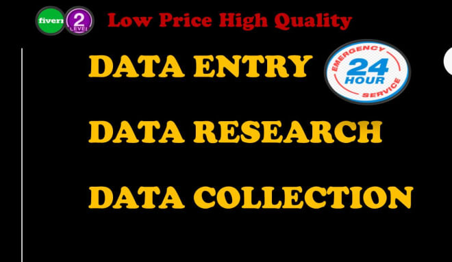 I will do data entry copy paste typing work data collection