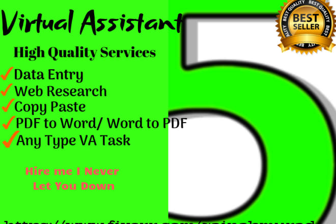I will do data entry,web research,copy typing,excel and VA work
