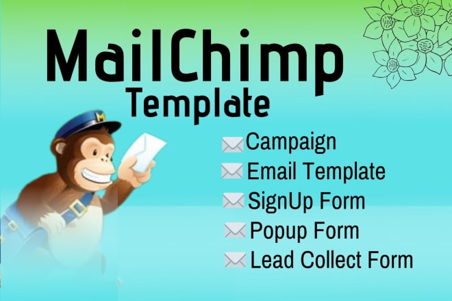 I will do email marketing campaign email blast and mailchimp template