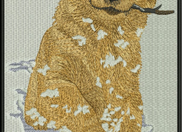 I will do embroidery digitizing design for you in wilcom