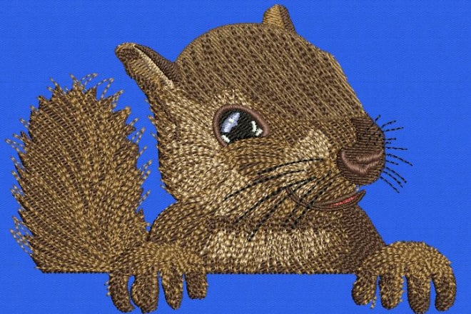 I will do embroidery digitizing quick