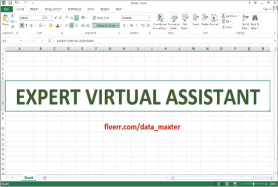 I will do excel data entry and your virtual assistant