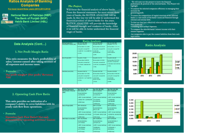 I will do financial ratios analysis report writing