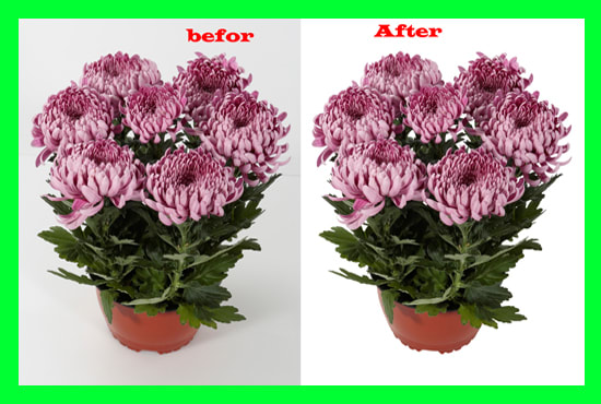 I will do image background remove and clipping path service