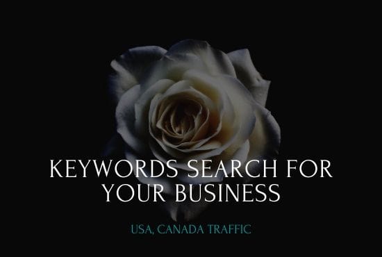 I will do keywords search for more website traffic