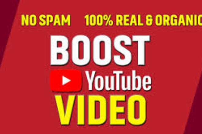 I will do organic promotion of your youtube channel to increase subscribers
