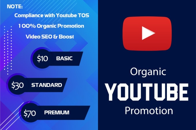 I will do organic youtube promotion with guaranteed results