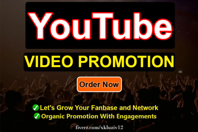 I will do organic youtube video promotion to make viral your video