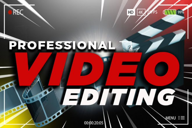 I will do professional video editing